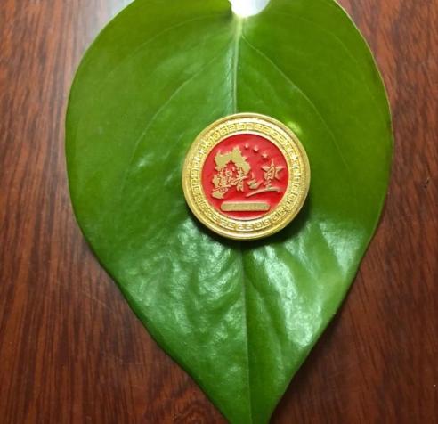 点赞!刘亮亮法官荣获"冀青之星"称号