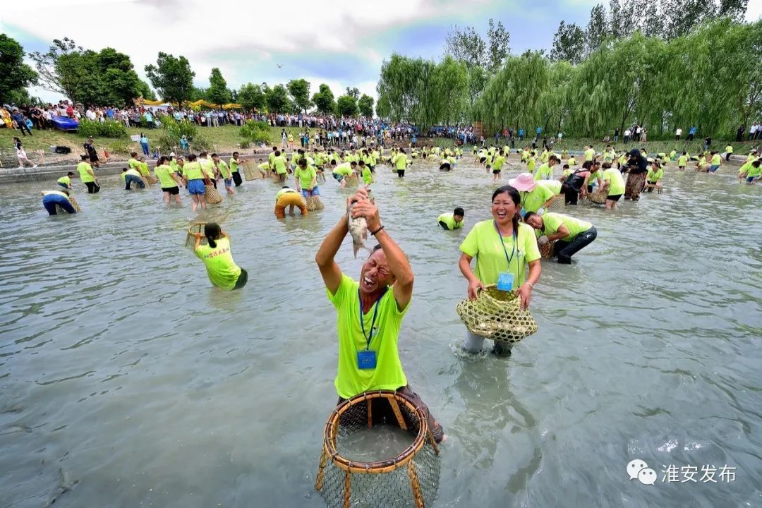 "寻味白马湖",这里有"喜事多"农家乐,"渔乐湾"渔家乐,"湖水鱼"湖鲜菜