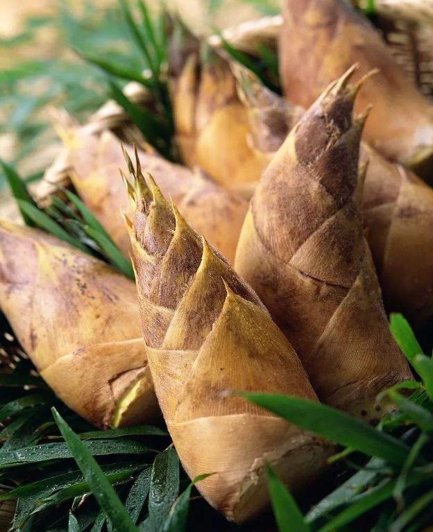 笋又分"春笋"和"秋笋".