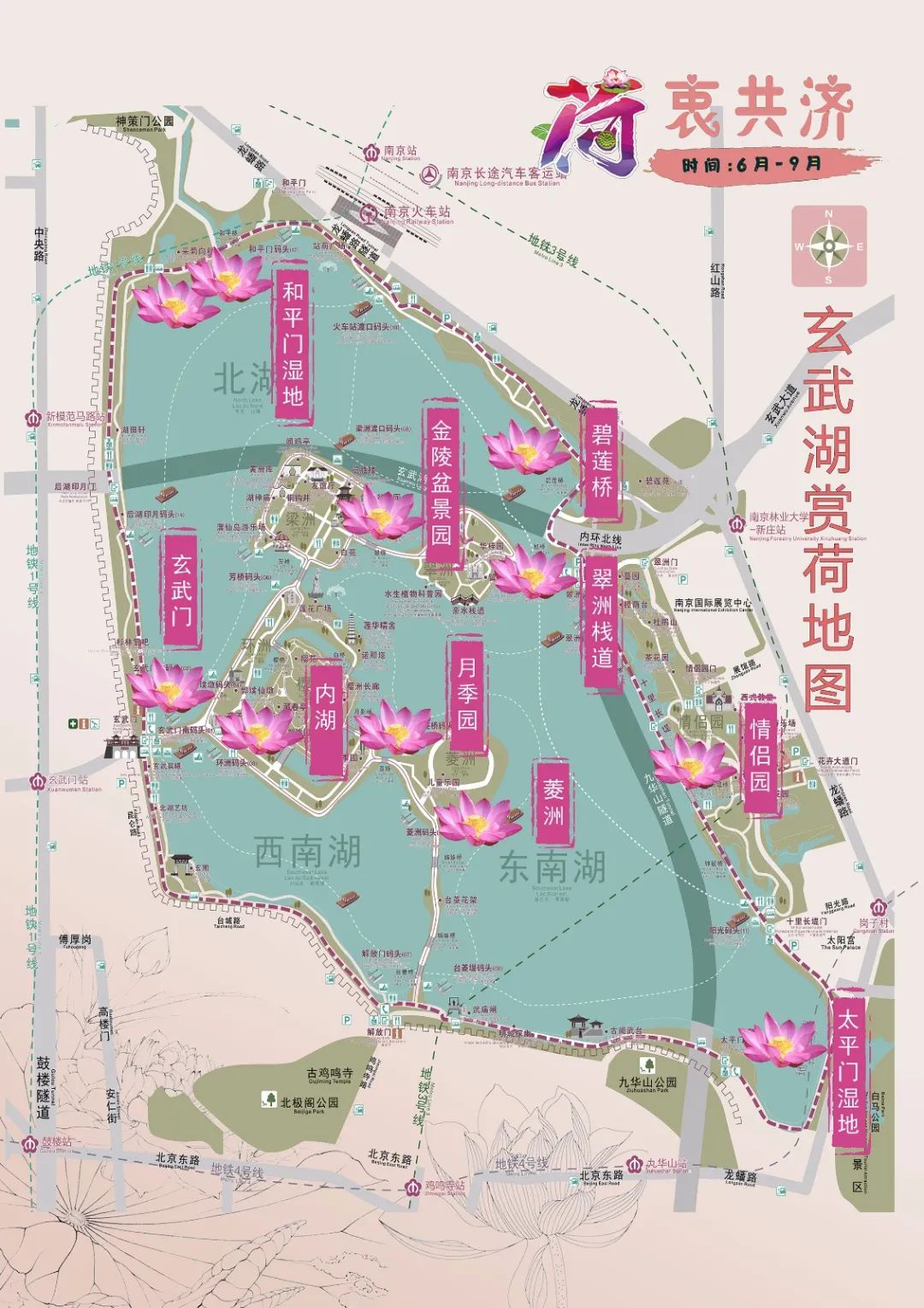 ▽▼▽再送上一张玄武湖赏荷地图图自:南京玄武湖景区满池的碧绿嫣红