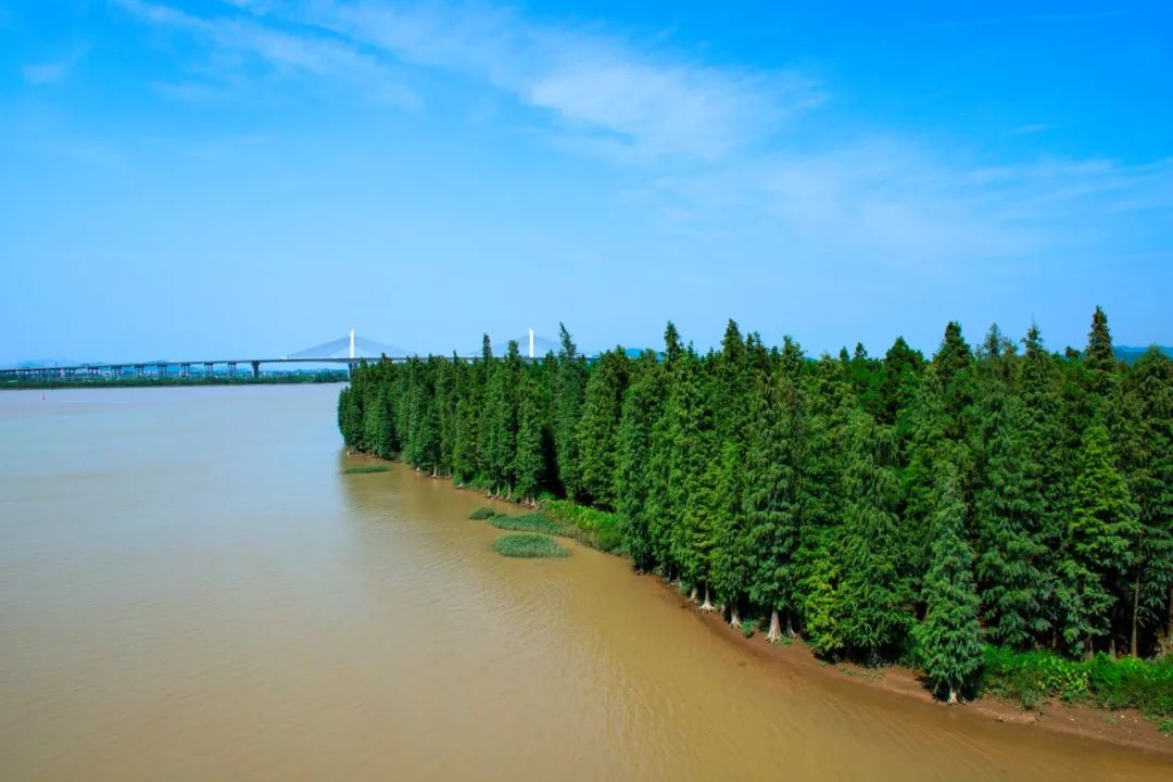 衝上雲霄720度全景瞰斗門水鄉