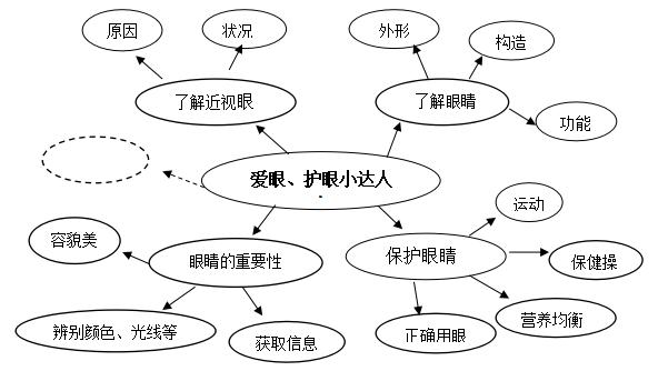 亮亮的眼睛主题网络图图片