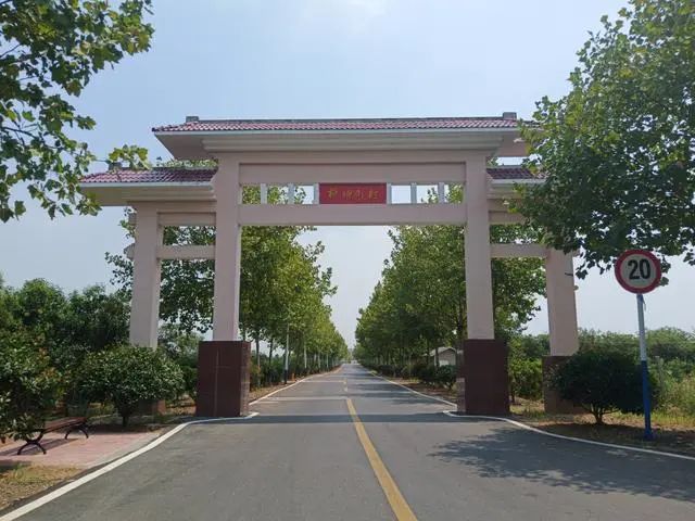 云游大美官亭采摘张祠油桃主播团邀您一起品尝初夏甜蜜