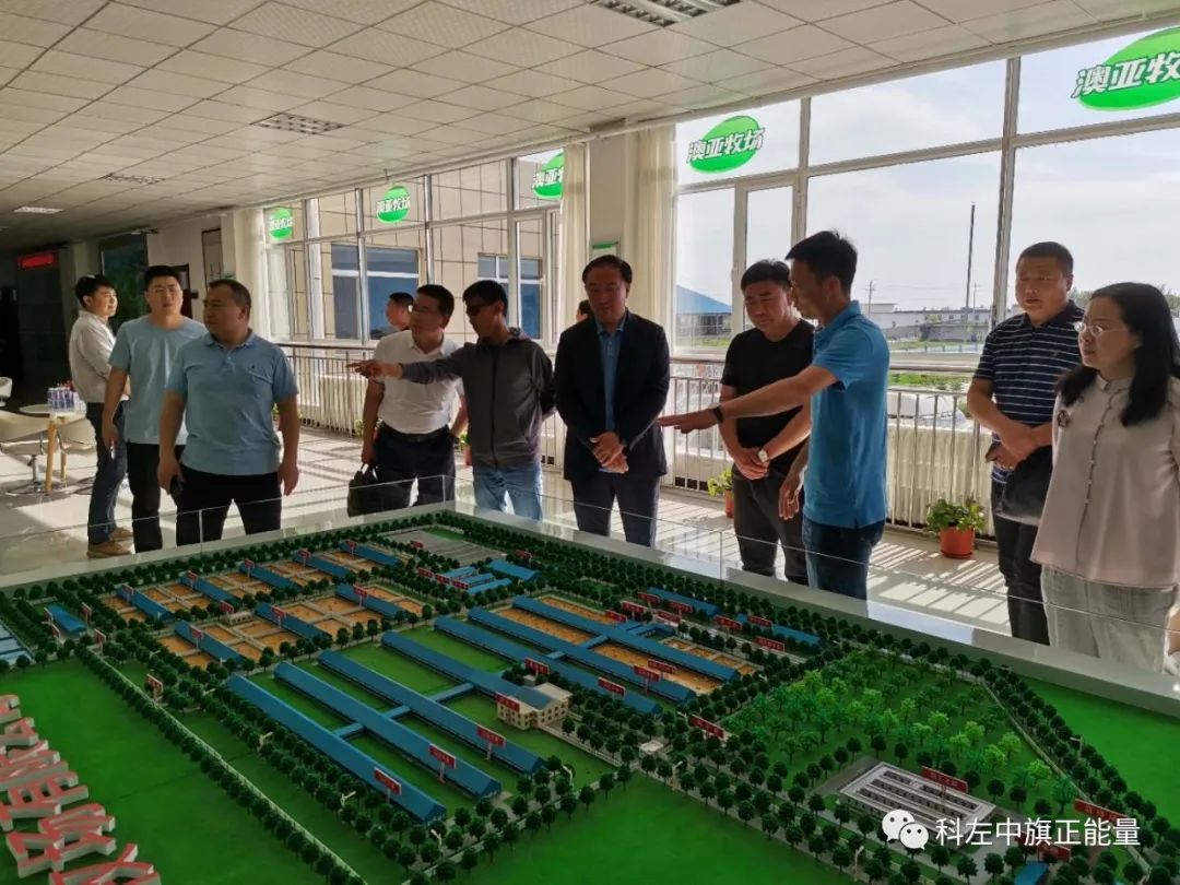 科左中旗委副书记,政府旗长张海明带队赴赤峰澳亚现代牧场进行考察