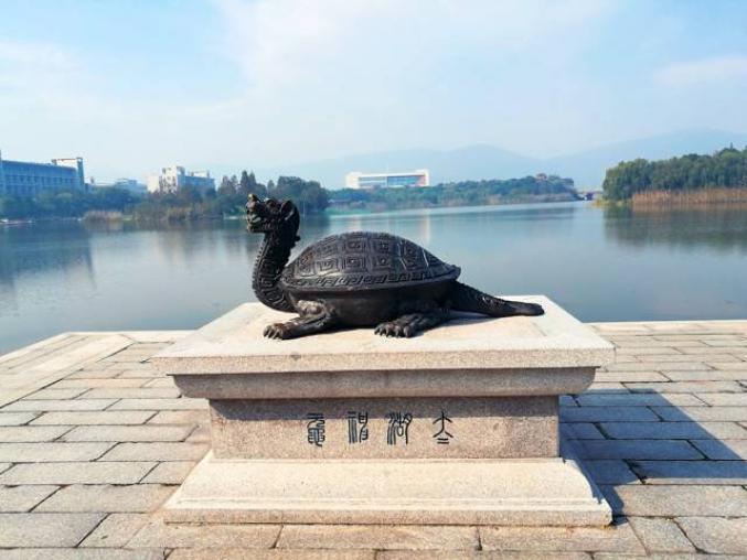 我带你,去看望图书馆背后的"太湖神鼋",它代表着龙的奋发向上,龟的