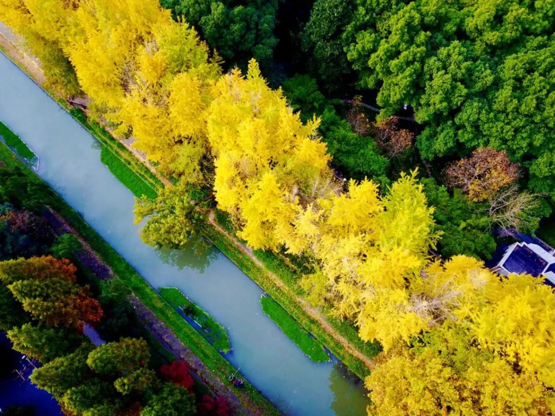 今年下城将建设5处休闲绿道一起来看看家门口这条绿色生态带吧
