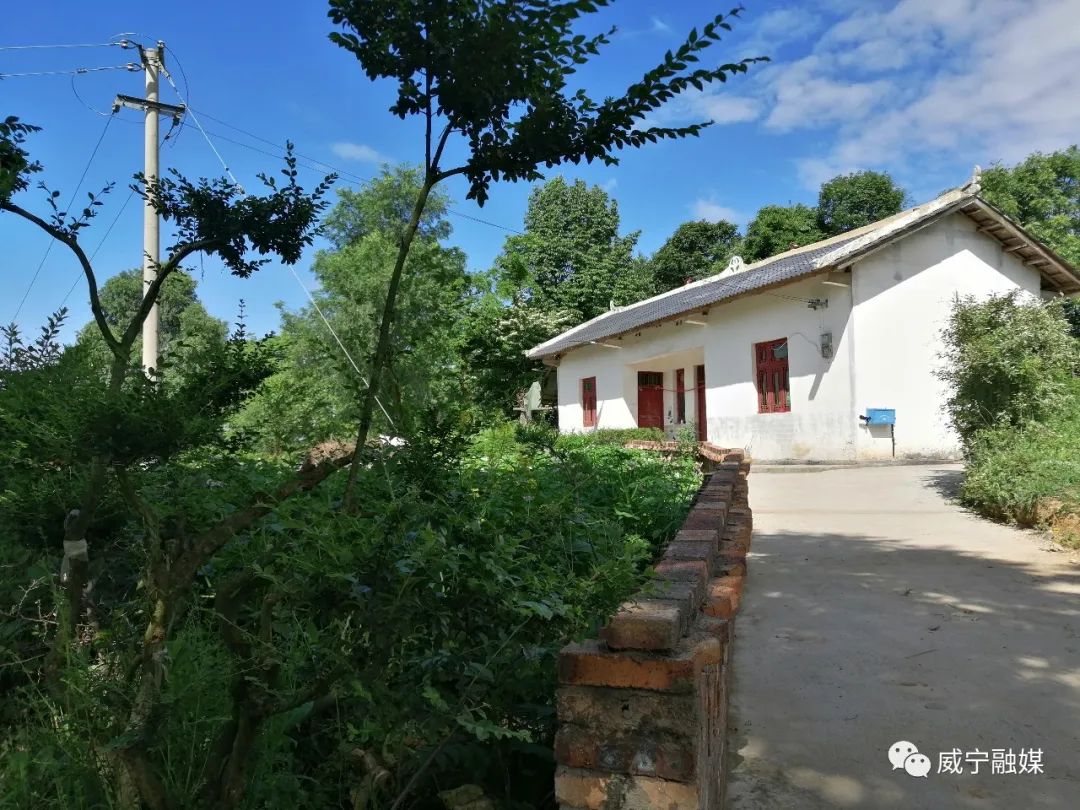 羊街镇大洼村:别样的"庭院小菜园" 美丽村庄的"新标配"_澎湃号·媒体