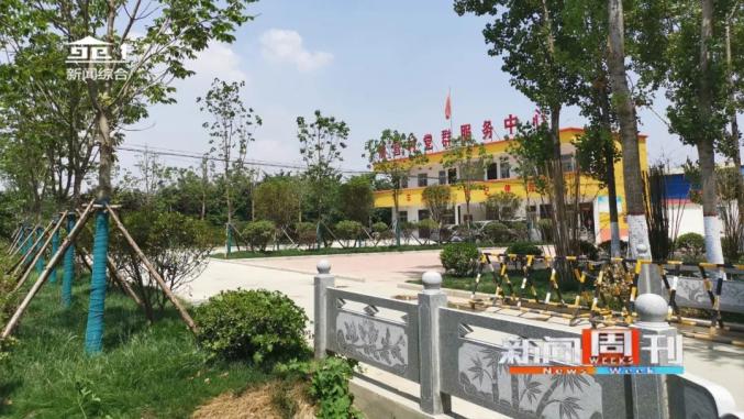 卧龙区潦河镇勤栽摇钱树喜获聚宝盆