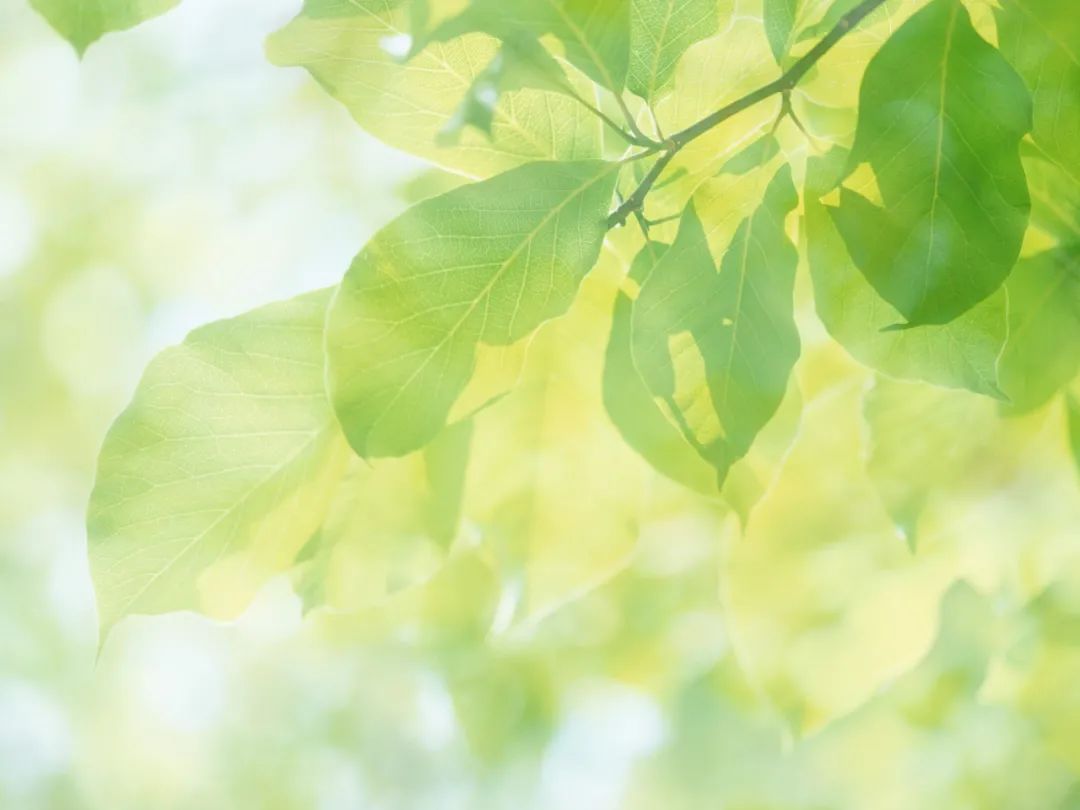 今日芒种银川气温将高至37