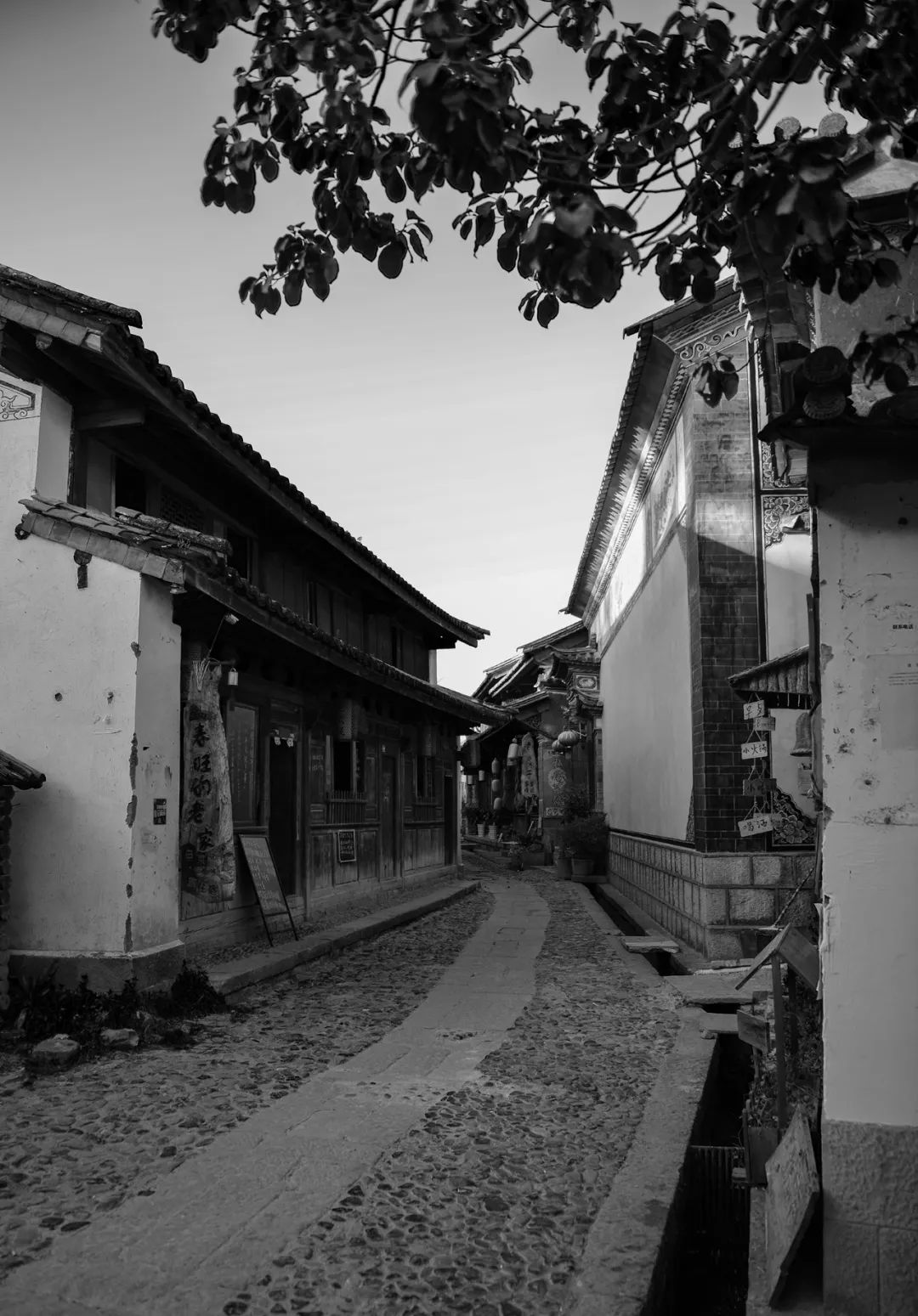 幽幽古巷有深意