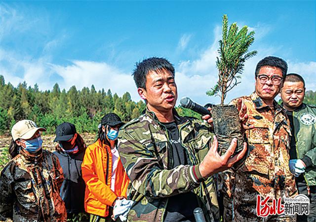 各地林草头条丨河北塞罕坝林海添新绿