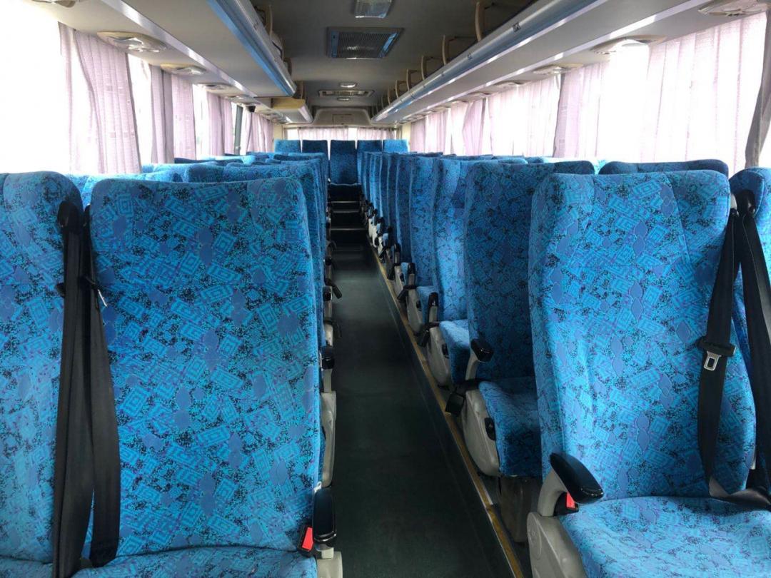 松江这个镇的免费班车等你上车!