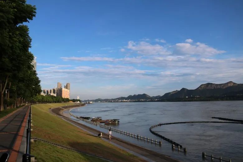 听说这是伍家岗最美的颜色