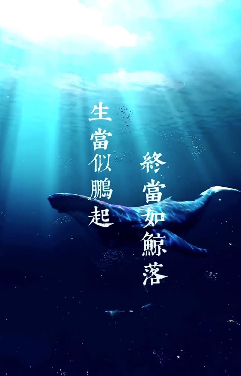 生当似鹏起终当如鲸落