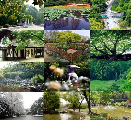 公園雲導賞③ | 中西合璧,風格獨特——上海中山公園