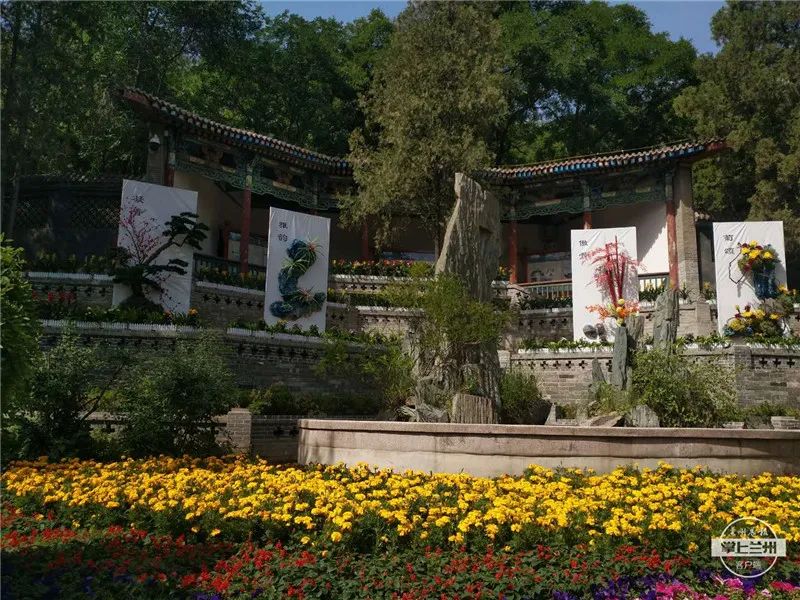 文明蘭州丨走到五泉山公園看花展去