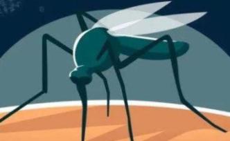 上海6月起蚊子将变多，这份防蚊灭蚊攻略请收好