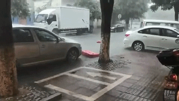 继续升级!肇庆发布暴雨红色预警信号(附最新水情)
