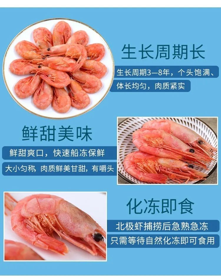 野生北极虾学名北方长额虾,又称冷水虾,北极甜虾.