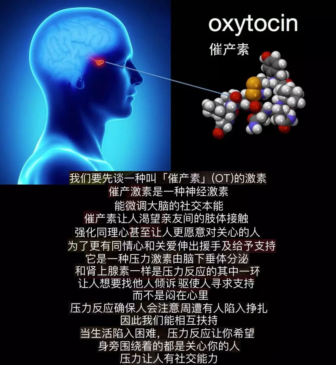 oxytocin nickname图片