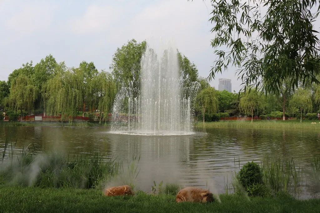 吉林长春这个景区有条600米湖面长廊宛若仙境