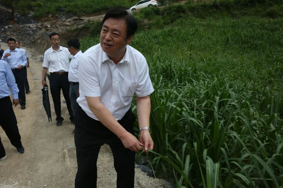 刘化龙67四种角色助力精准扶贫