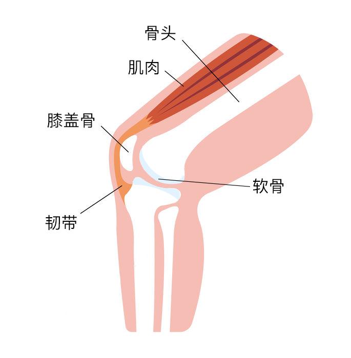 膝盖疼是什么病 一个动作就能判断