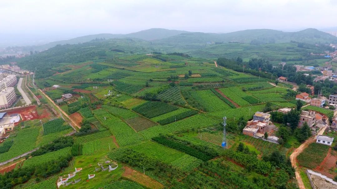 组图昭通鲁甸卯家湾安置区变迁记