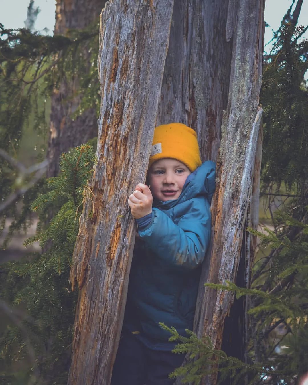 为啥瑞典小孩最幸福