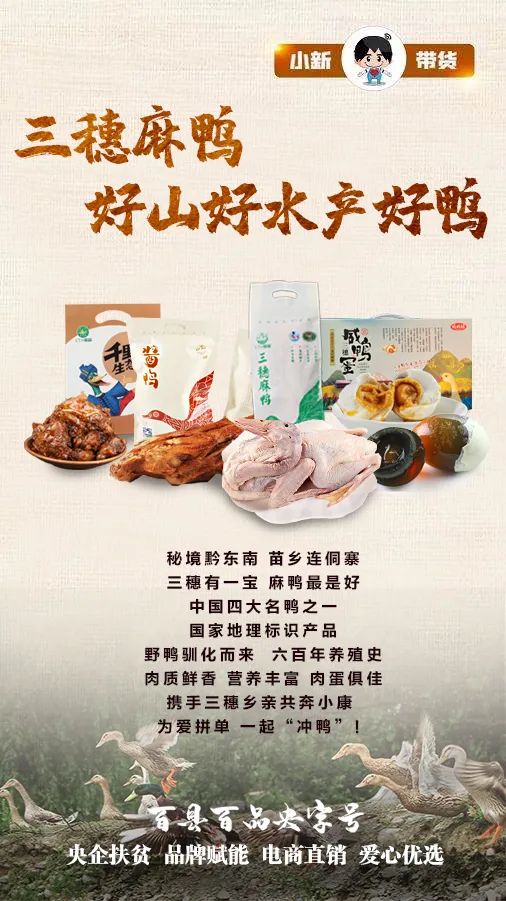 三穗麻鸭贵州总店图片