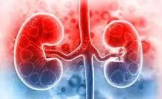 肥胖与肾病 | 等我瘦了一定会好好报答你