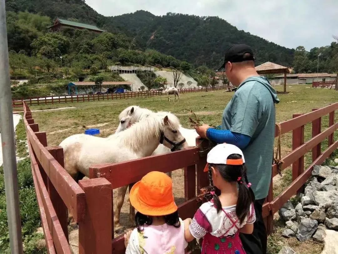 超吸睛!数十种"萌宠"齐聚肇庆!还有这些"宝藏"地方