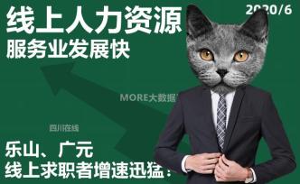 線上人力資源服務業發展快，樂山、廣元線上求職者增速迅猛