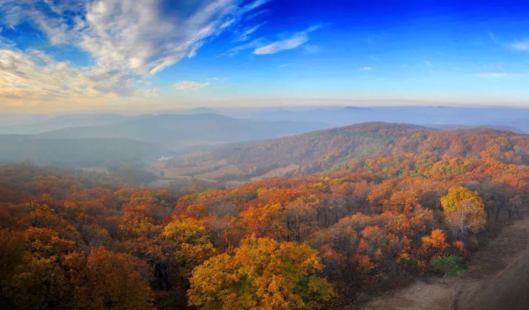 全国人大代表点名赞扬长春市九台区马鞍山村