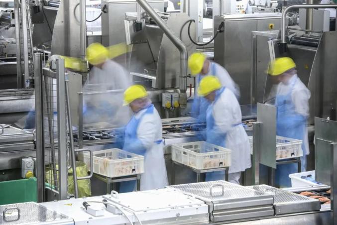 价值观单一的生活 哪有什么自由可言 众声 澎湃新闻 The Paper