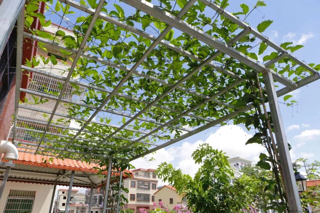 颜值内涵珠海金湾这条村的气质将有大提升