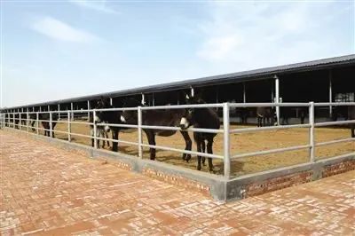 百企帮百村为鄂尔多斯脱贫攻坚注入民营企业力量