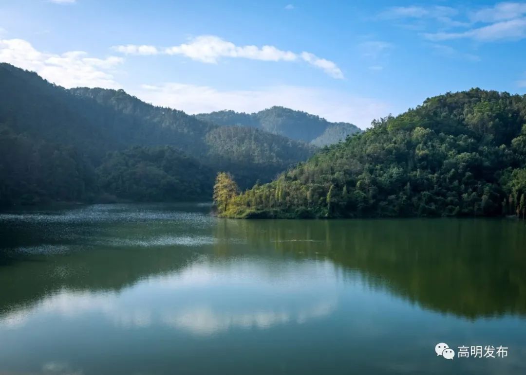 这些高明山林地升级为"致富地",你家的也可以吗?