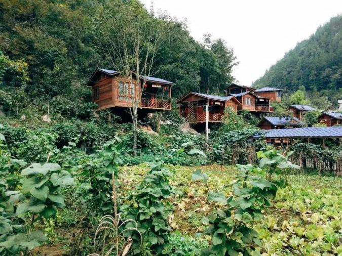 恩施文旅号这家三星级民宿有你要的田园生活