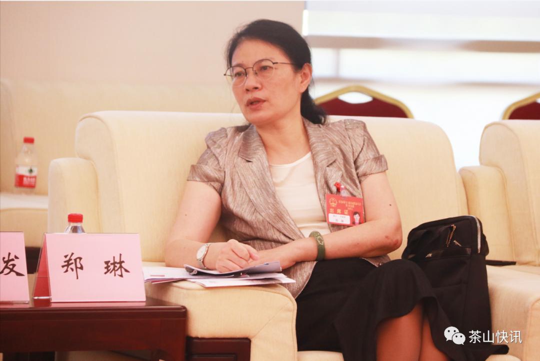 茶山代表团热议政府工作报告共话东莞发展