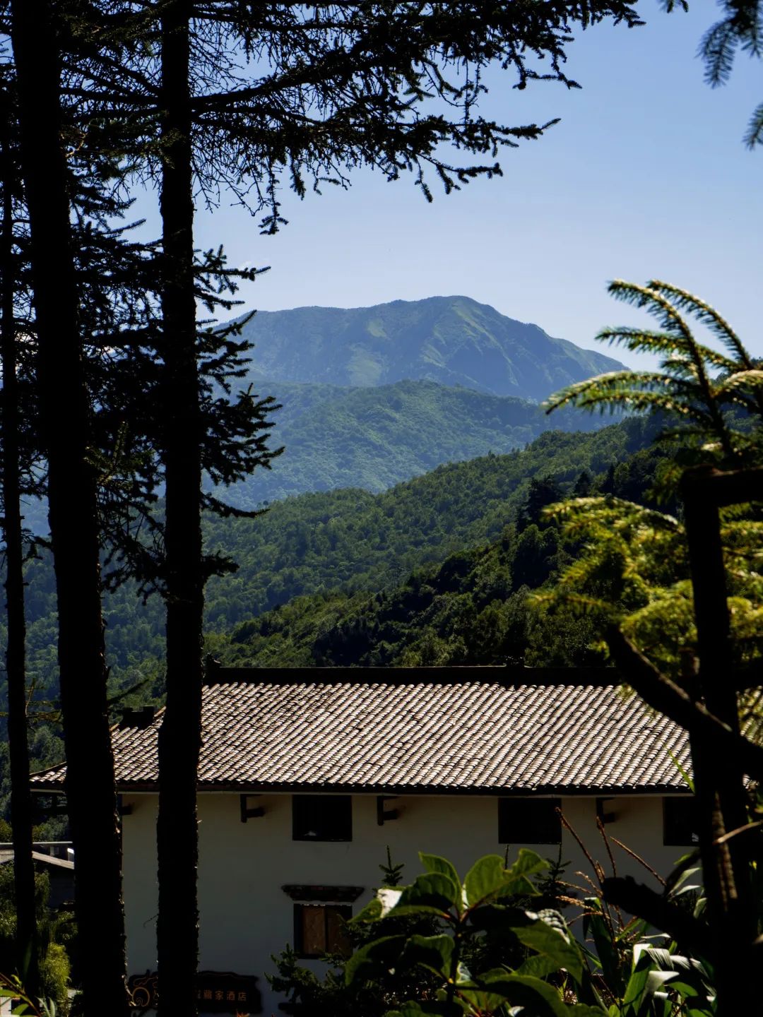 林家大院寄给你我的夏日明信片