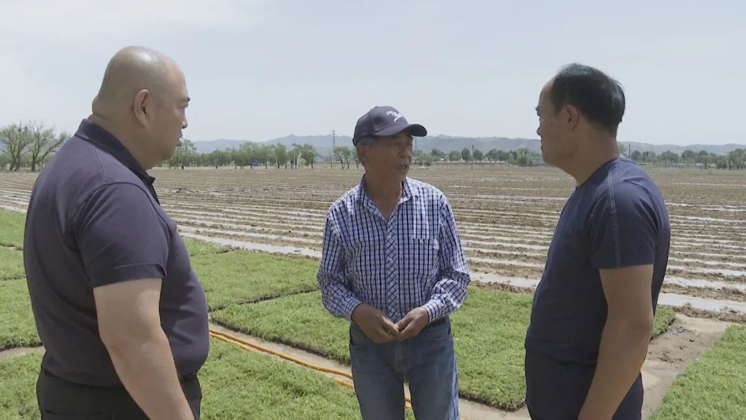 弘扬蒙古马精神身边的榜样狄明的脱贫账百姓的致富经