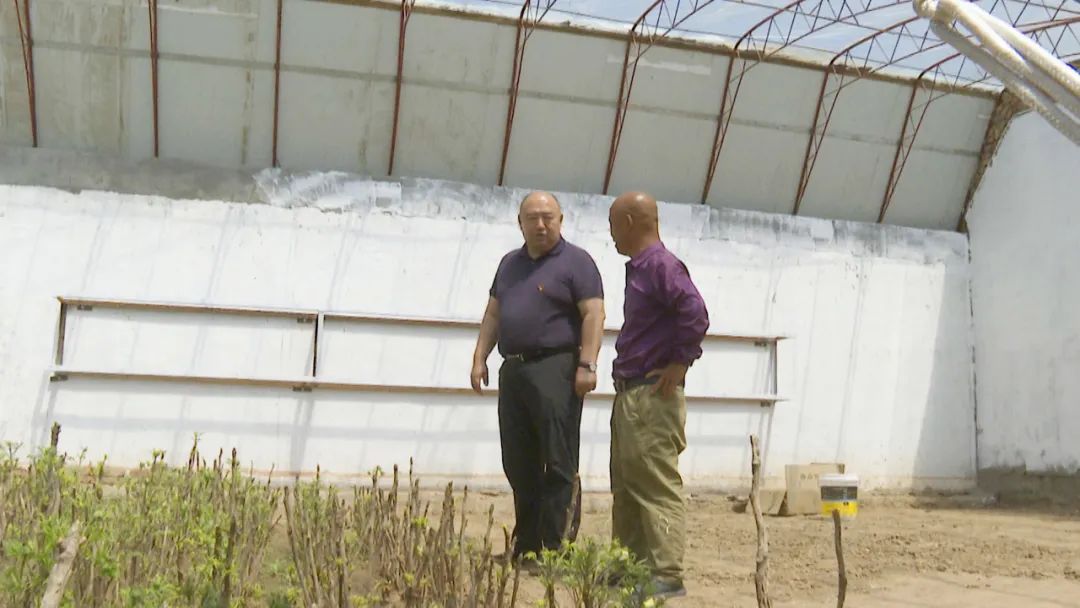 弘扬蒙古马精神身边的榜样狄明的脱贫账百姓的致富经