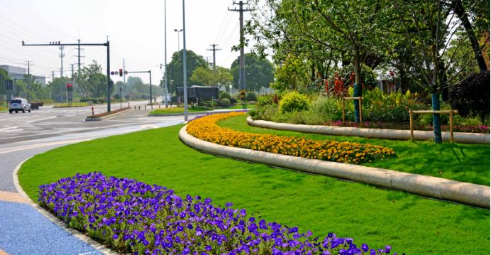 提 升 前宛如科技激荡起的层层涟漪结合盆景式绿化流动的蓝米色曲线渠