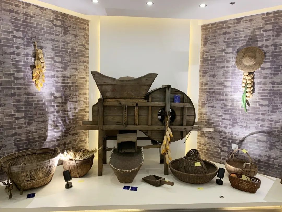 双休日宅在家这里新开了2个免费展馆一起来打卡