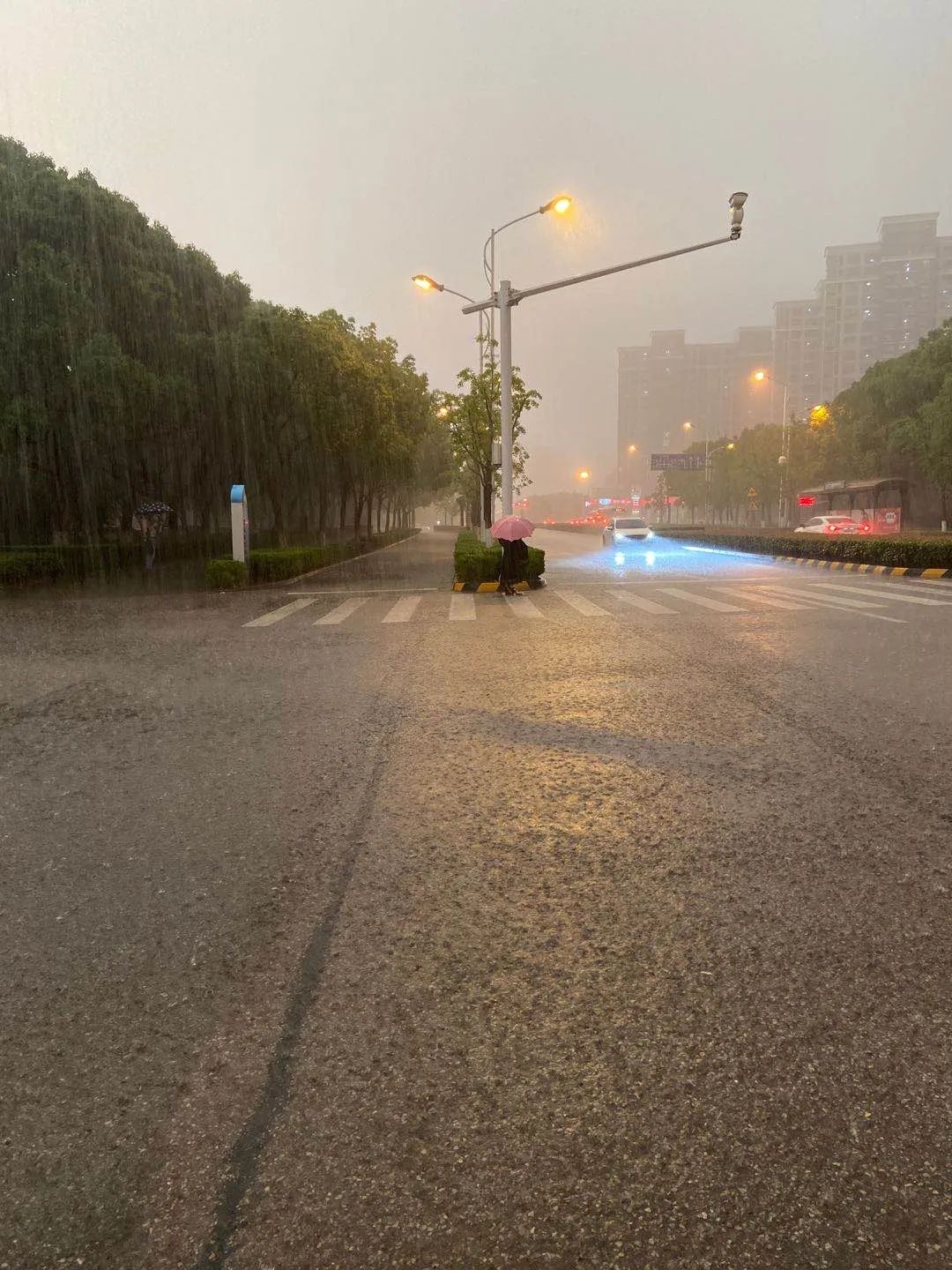雨过彩虹金鸡湖畔美