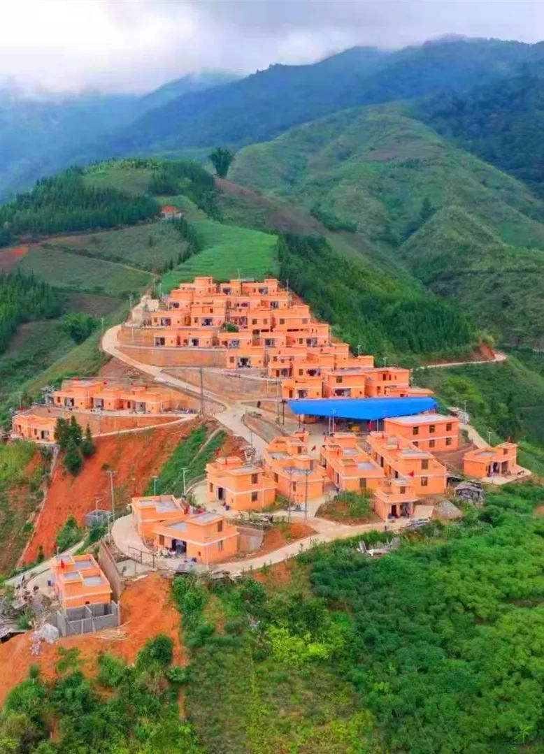 看着满山的香蕉,崭新的楼房,金平县者米乡水田村民小组的李文到现在都