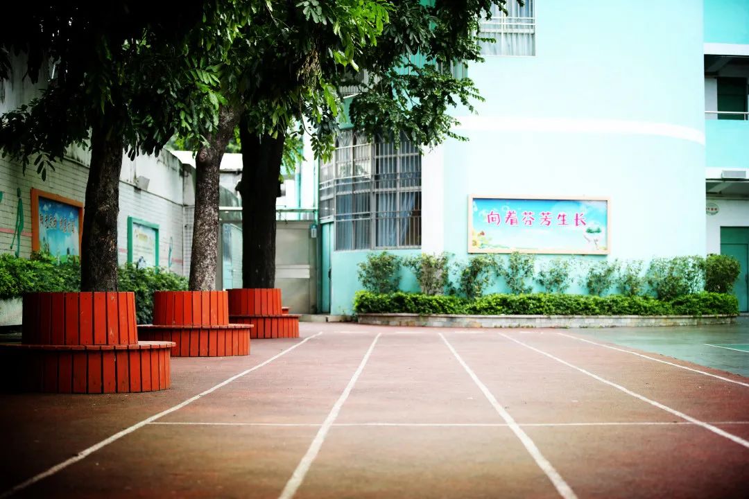 布吉阳光小学图片