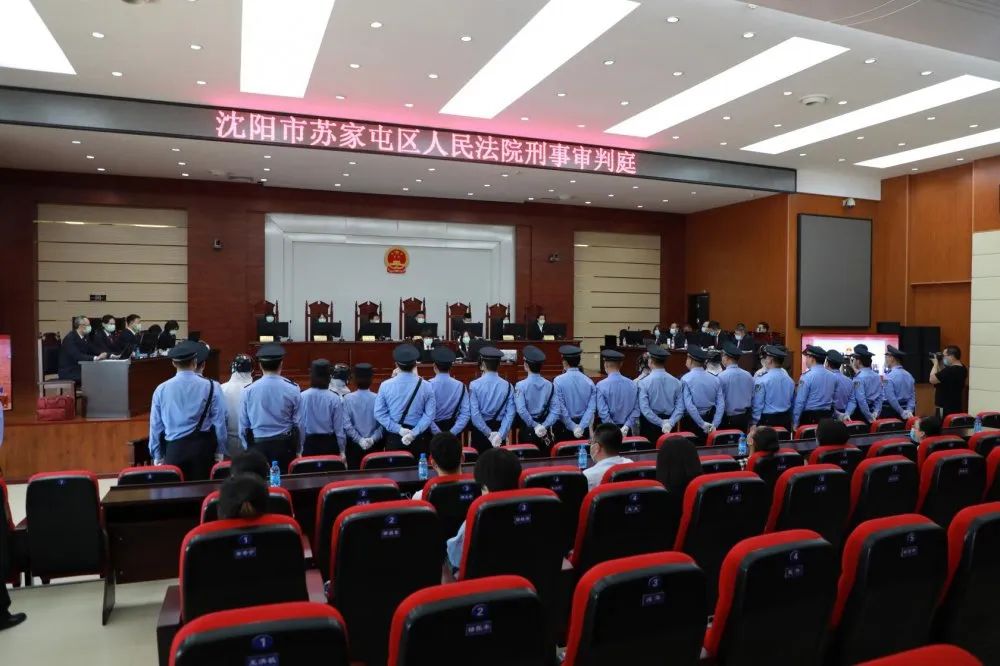 苏家屯法院公开开庭审理张某某等9人组织领导参加黑社