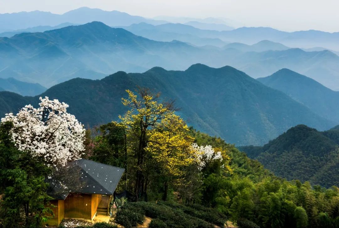 我在富春山乡有个家丨安顶山代言家庭等你来